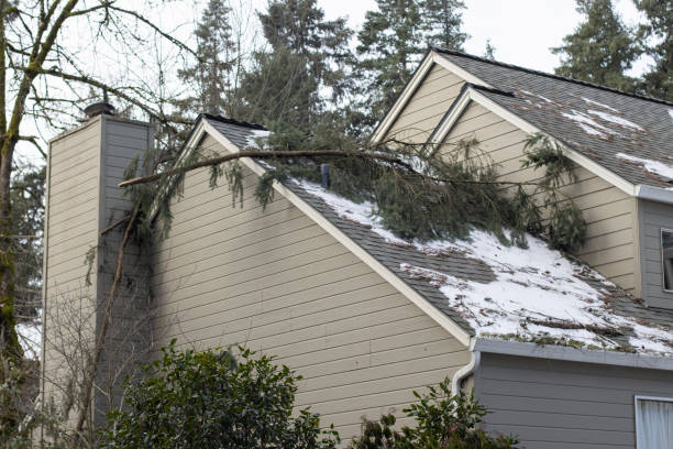 How to Catch Hail and Wind Damage Before It Wrecks Your Roof